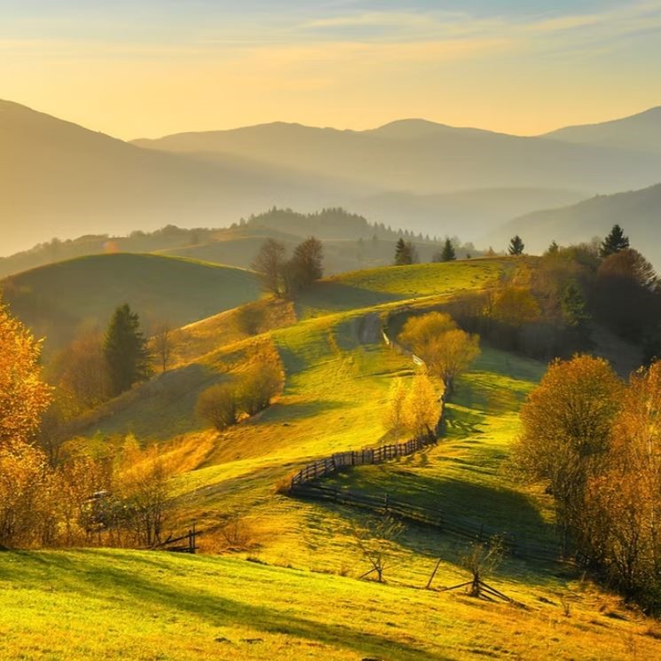 landscape